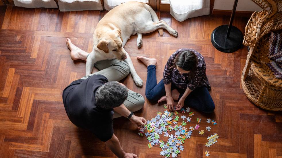 jigsaw puzzle dog